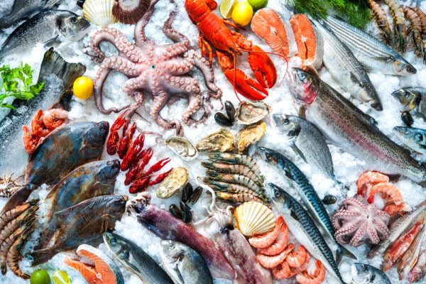 Taller de Pescado y Marisco (22 de marzo)